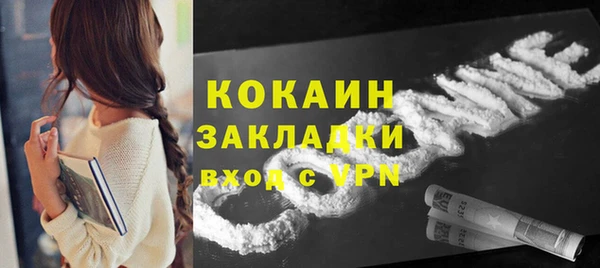 твердый Алексин