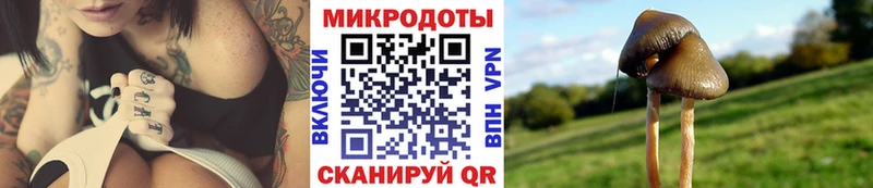 Псилоцибиновые грибы прущие грибы  Ишим 
