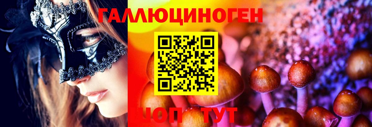 Псилоцибиновые грибы Psilocybine cubensis Ишим