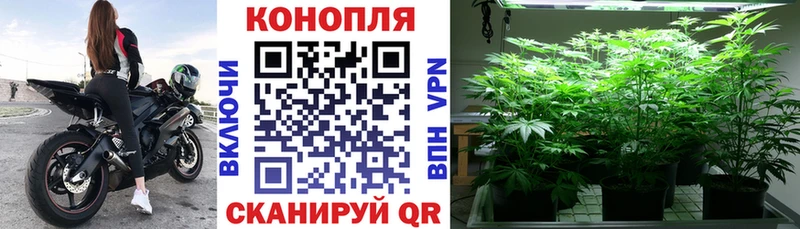 Конопля конопля  Ишим 